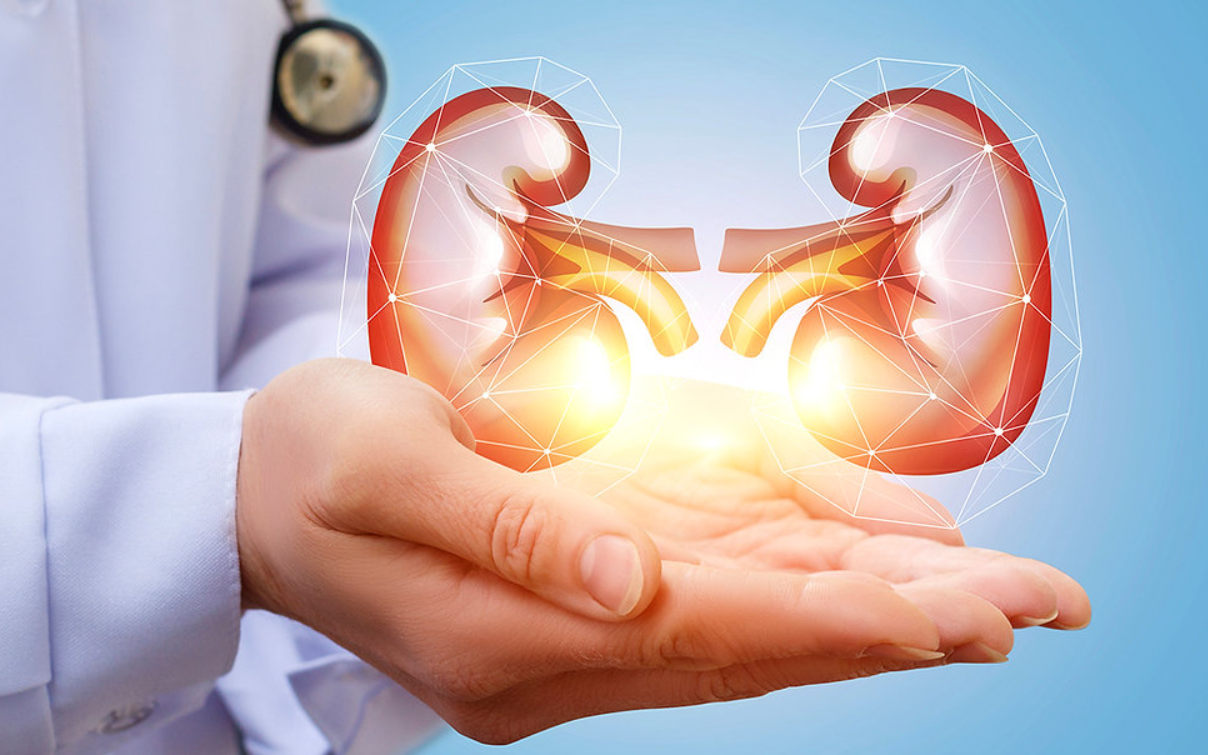 how can you treat kidney failure naturally?